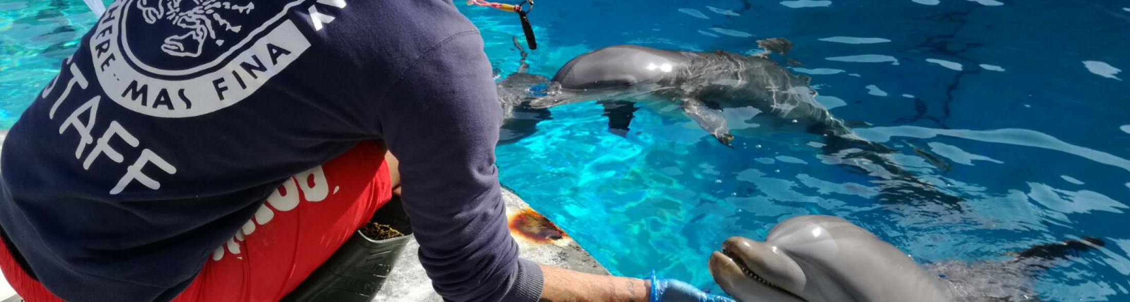 Oltremare dà il benvenuto a Mia