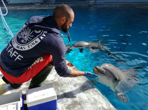 Oltremare dà il benvenuto a Mia