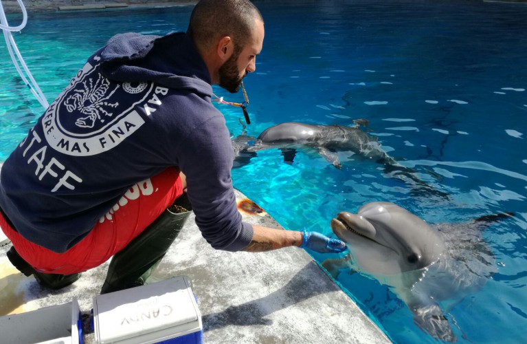 Oltremare dà il benvenuto a Mia