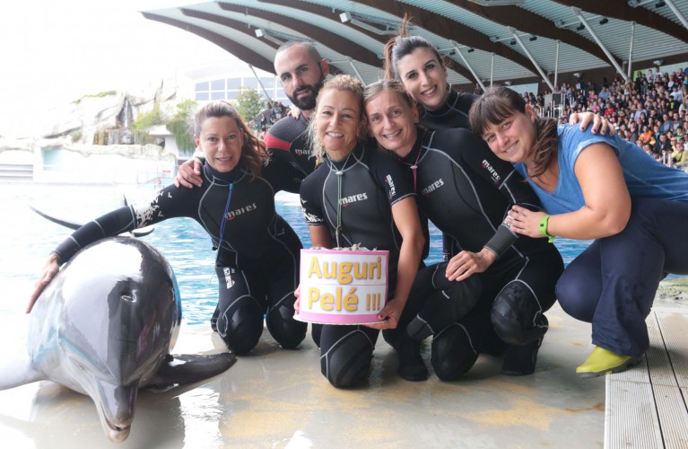 Tanti auguri a 'nonna' Pelè