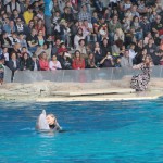 Tanti auguri a 'nonna' Pelè
