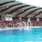 Tanti auguri a 'nonna' Pelè