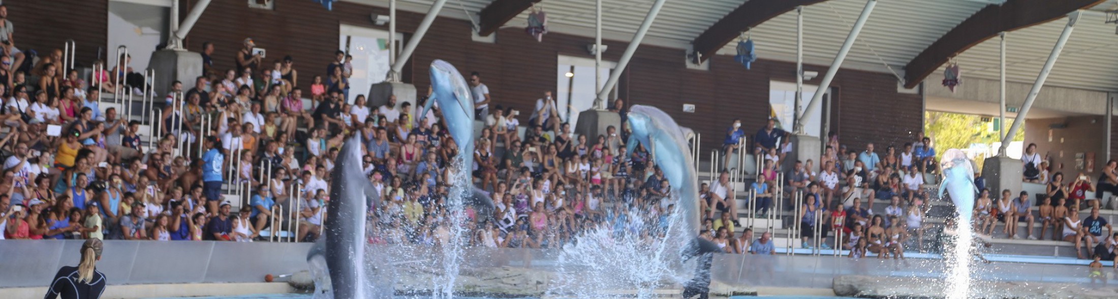 I parchi CE in festa con lo IOR domenica 17 settembre