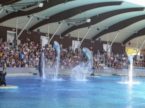 I parchi CE in festa con lo IOR domenica 17 settembre