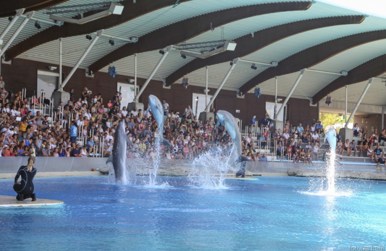 I parchi CE in festa con lo IOR domenica 17 settembre