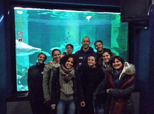 Sette mesi a Oltremare e all'Acquario di Cattolica per imparare ad accudire gli animali