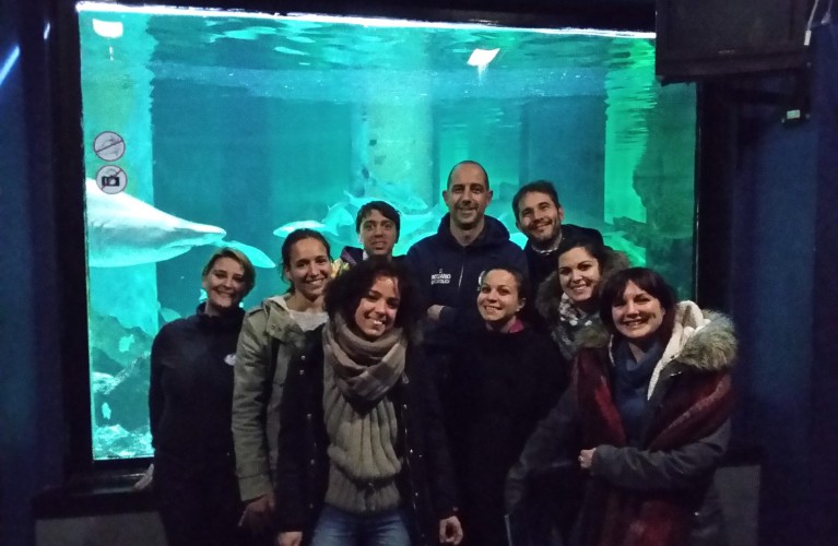 Sette mesi a Oltremare e all'Acquario di Cattolica per imparare ad accudire gli animali