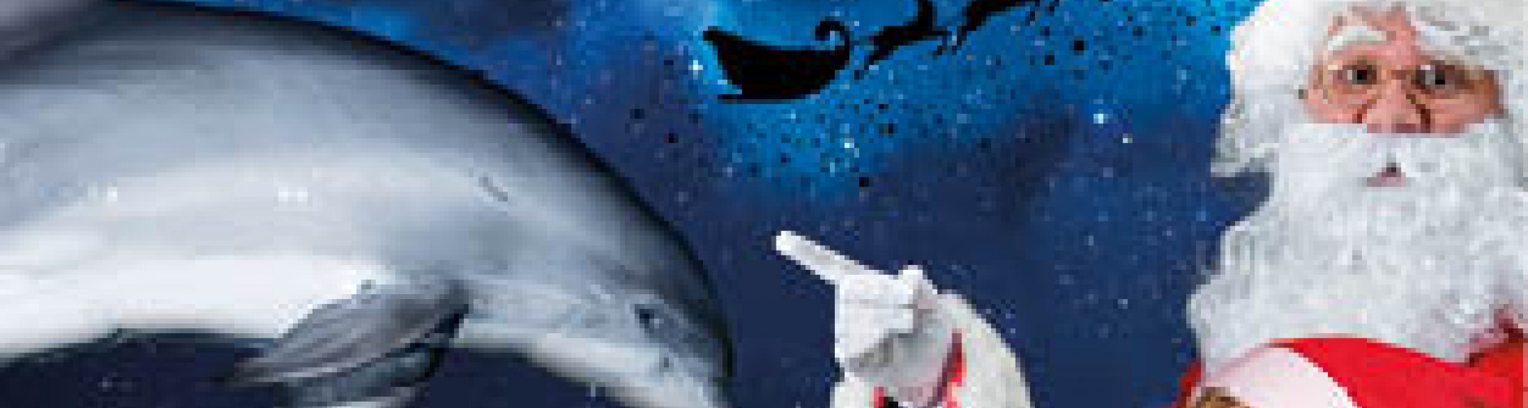 Festa a Oltremare con Ulisse e le renne di Babbo Natale!