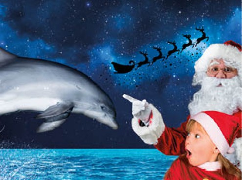 Festa a Oltremare con Ulisse e le renne di Babbo Natale!