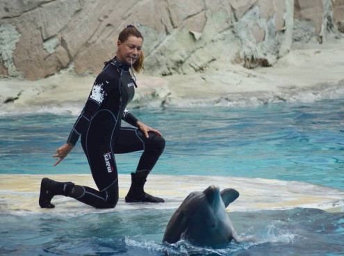 Costa Edutainment fa il pieno di riconoscimenti ai Parksmania Awards 2016