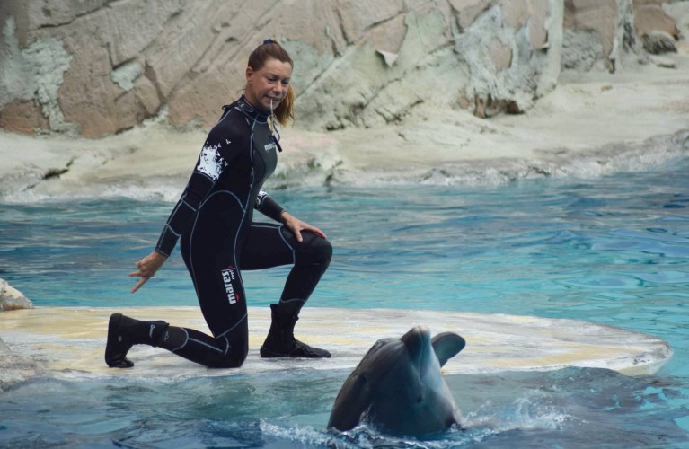 Costa Edutainment fa il pieno di riconoscimenti ai Parksmania Awards 2016