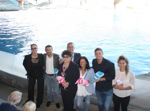 Una giornata per la ricerca con IOR