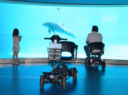 A Oltremare arriva il servizio di mobilità sociale