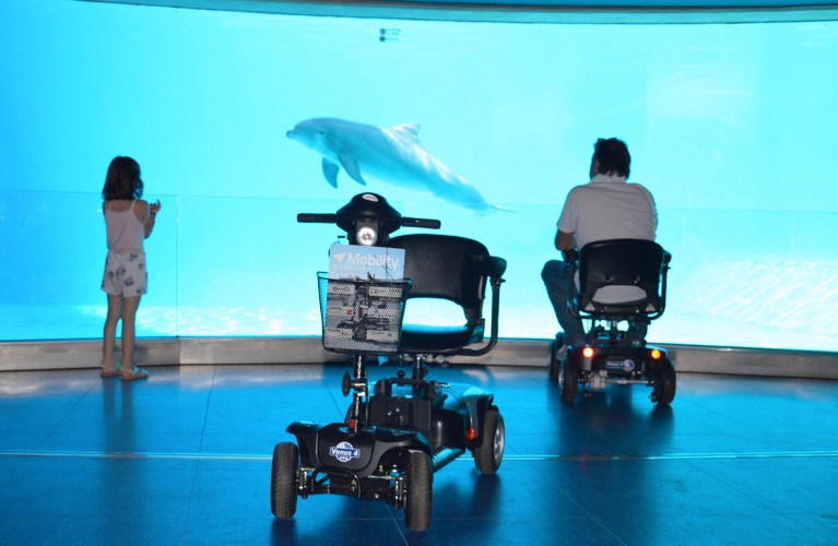 A Oltremare arriva il servizio di mobilità sociale