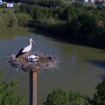 Nuovi fiocchi a Oltremare