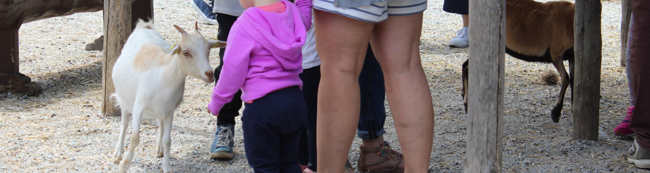 Emozioni e divertimento sul Delta. Domenica 5 giugno inaugura la mostra "Scatti al femminile"