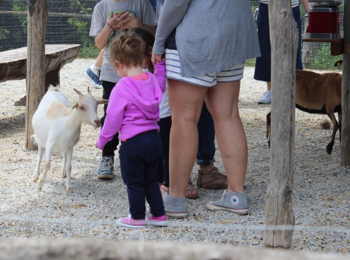 Emozioni e divertimento sul Delta. Domenica 5 giugno inaugura la mostra "Scatti al femminile"