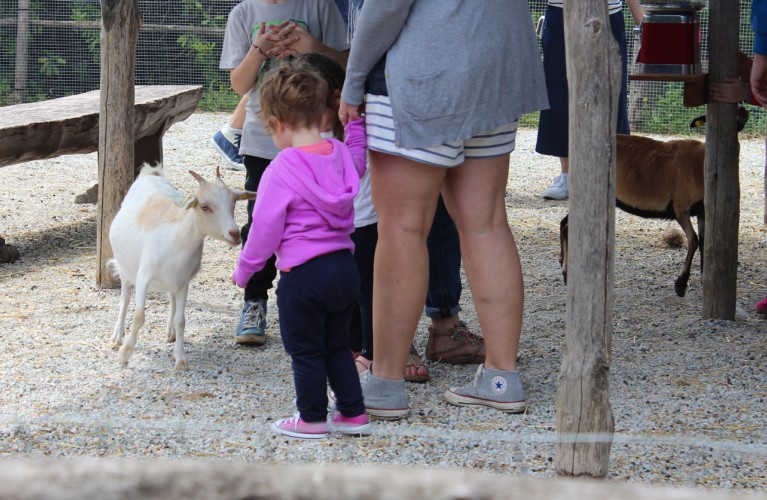 Emozioni e divertimento sul Delta. Domenica 5 giugno inaugura la mostra "Scatti al femminile"