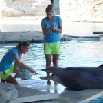 Auguri a Ulisse e Cleo