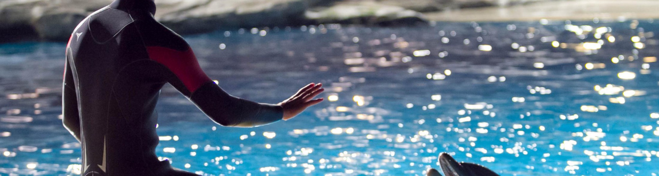 La nuova stagione 2016 di Oltremare