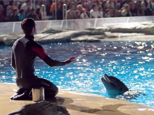 La nuova stagione 2016 di Oltremare