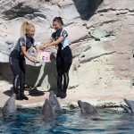 Auguri a Ulisse e Cleo