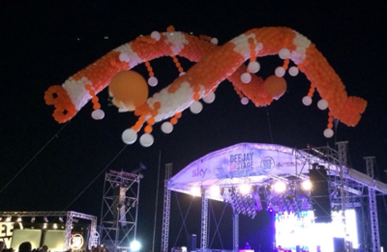 Invasione di bruchi giganti a Riccione!