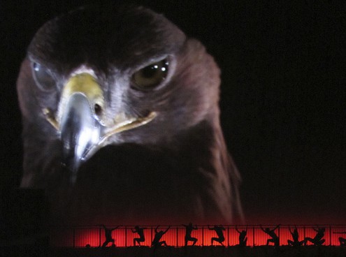 EMOTIONS da sabato 13 giugno