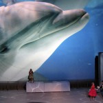 EMOTIONS da sabato 13 giugno