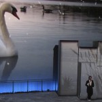 EMOTIONS da sabato 13 giugno