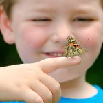 UN’OASI DI COLORI E PROFUMI PER RACCONTARE LA POESIA DELLA NATURA