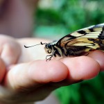 UN’OASI DI COLORI E PROFUMI PER RACCONTARE LA POESIA DELLA NATURA