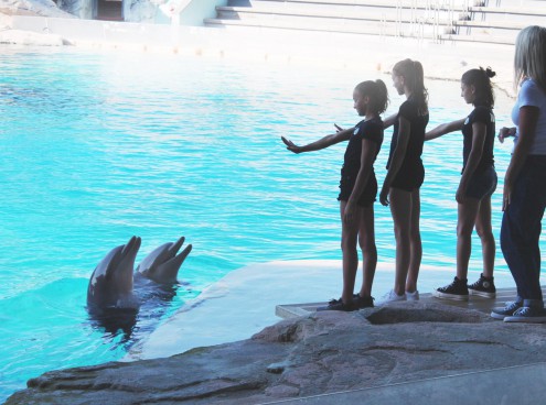 Nazionale Juniores Ginnastica Artistica tra i delfini