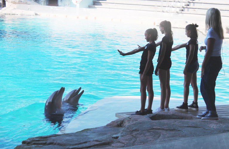 Nazionale Juniores Ginnastica Artistica tra i delfini