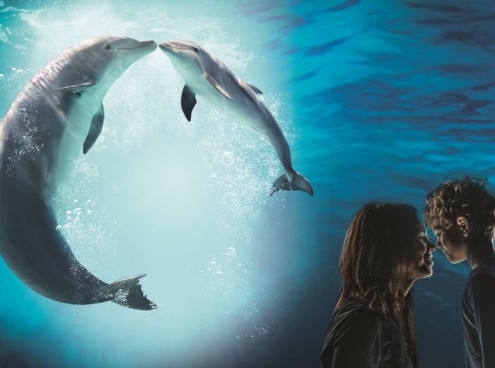 Mamma Natura  a  Oltremare