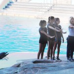 Nazionale Juniores Ginnastica Artistica tra i delfini