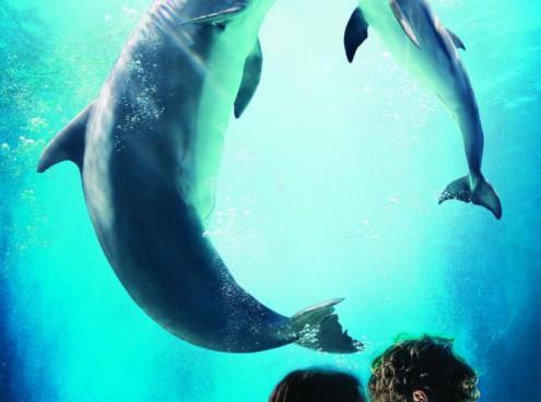 Riaprono i Parchi Costa