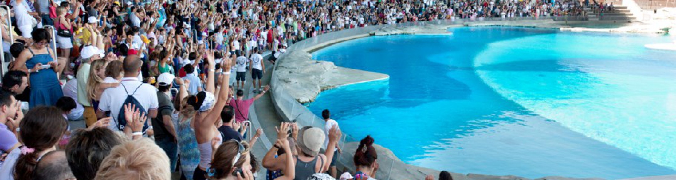 Matematica:il grande spettacolo