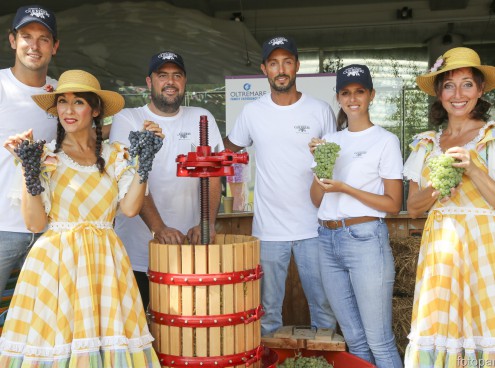 Nasce il vino di Oltremare, festa dell'uva 22 agosto
