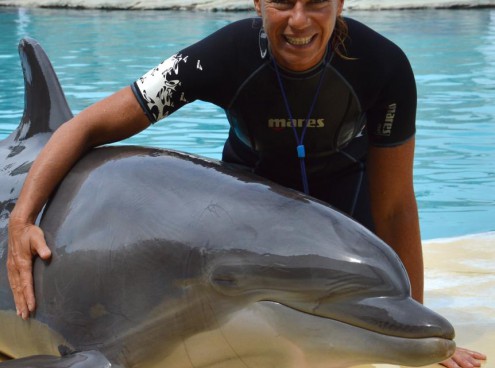Linea Blu al Parco Oltremare e all'Acquario di Cattolica