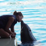 E’ nonna ma non lo dimostra: a Oltremare nel giorno del compleanno di Riccione si festeggia anche la delfina più anziana d’Italia