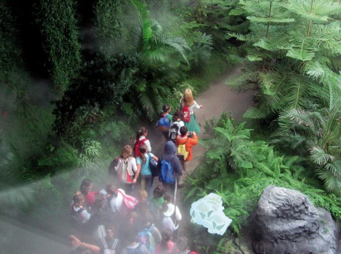 La carica dei mille insegnanti a scuola nei Parchi Costa