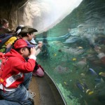 La carica dei mille insegnanti a scuola nei Parchi Costa