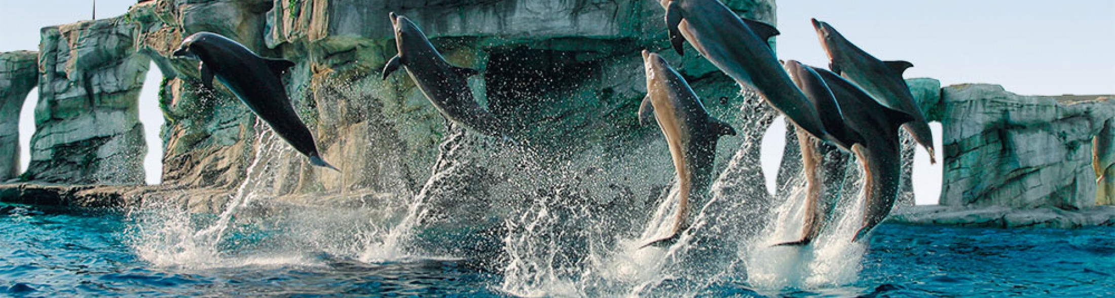 Oltremare fa bene: tutti in festa con lo IOR domenica 21 settembre