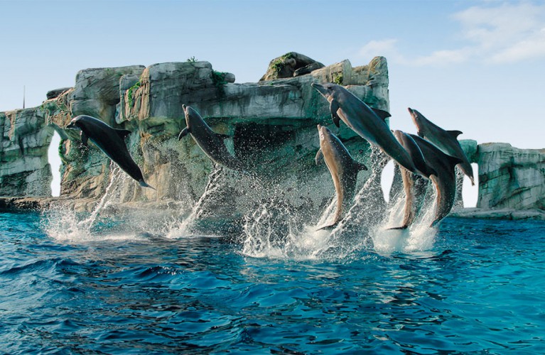 Oltremare fa bene: tutti in festa con lo IOR domenica 21 settembre
