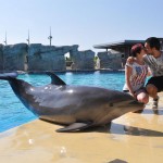 Proposta di matrimonio nella "Laguna dei Delfini"