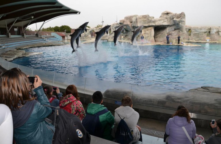Oltremare presenta il nuovo incontro con i delfini