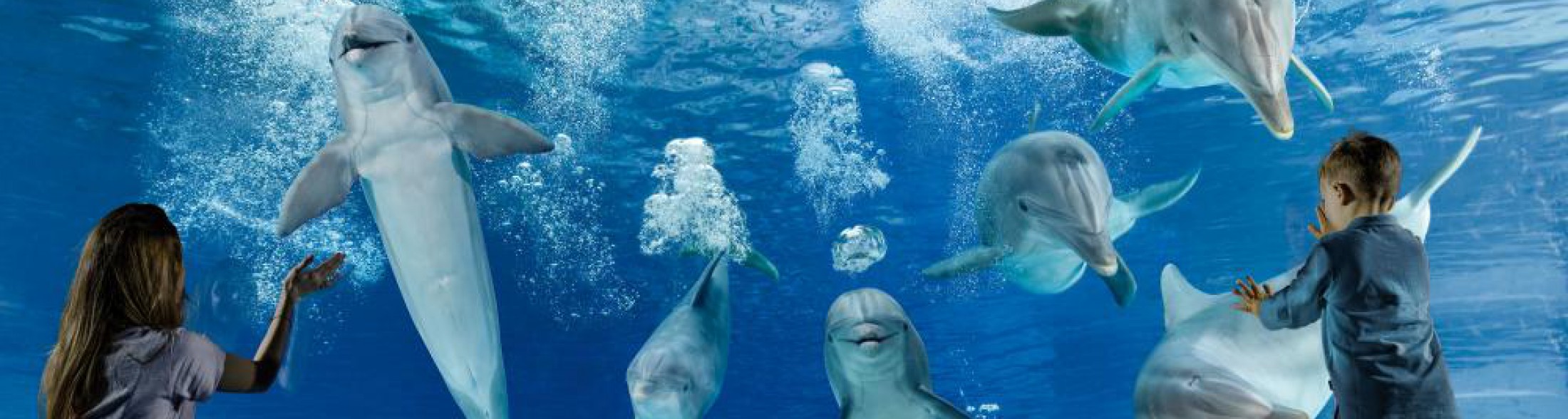 1 aprile riaprono i parchi della riviera adriatica