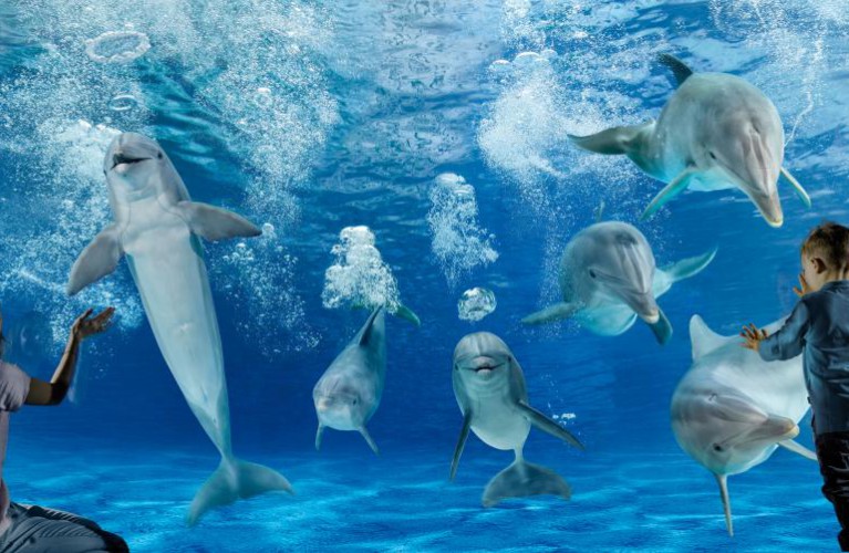 1 aprile riaprono i parchi della riviera adriatica