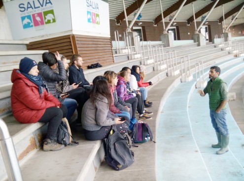 A Oltremare 'Alfadog Training Academy'